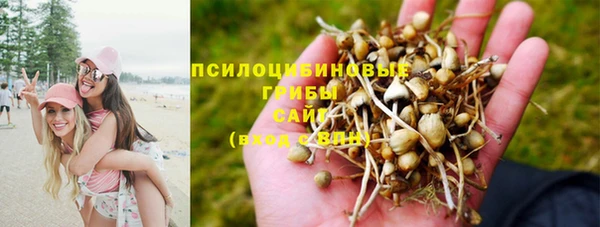 PSILOCYBIN Абдулино