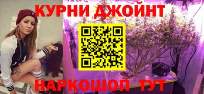 мдпв Дубна