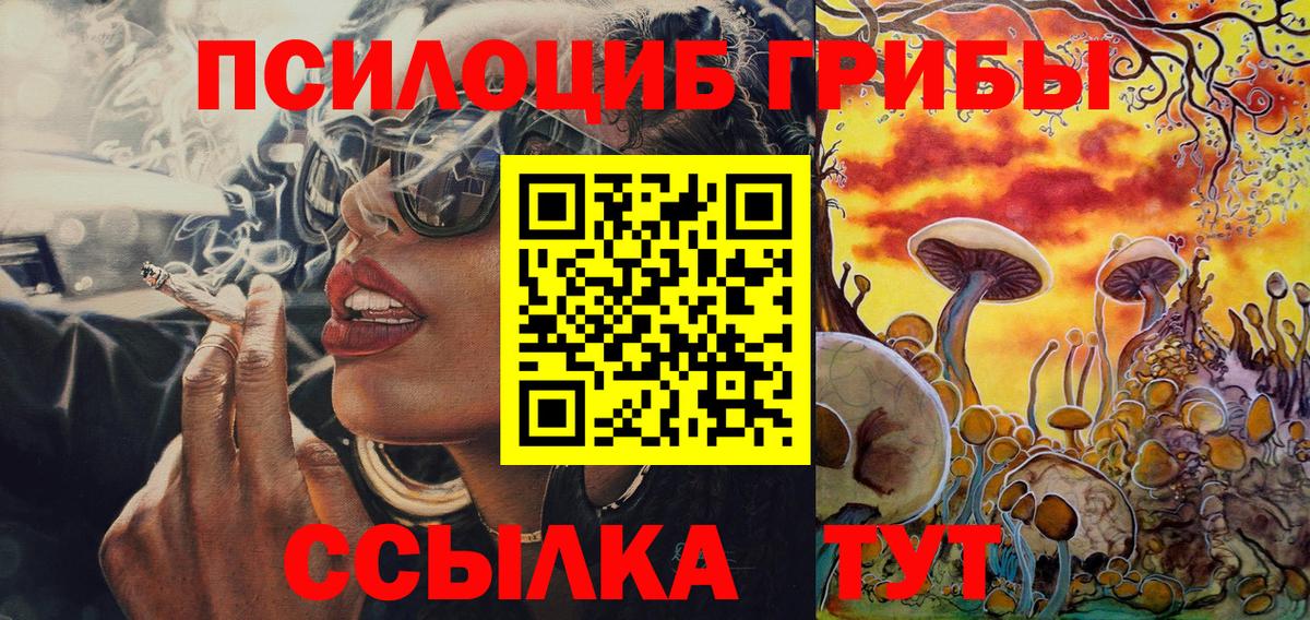 Псилоцибиновые грибы мицелий  Псилоцибиновые грибы мухоморы  Норильск  Вход с VPN 