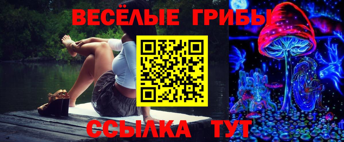 Галлюциногенные грибы GOLDEN TEACHER Норильск